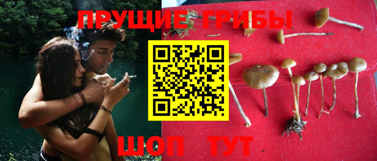 Псилоцибиновые грибы мицелий  Вход с VPN  Галлюциногенные грибы мухоморы  Йошкар-Ола 