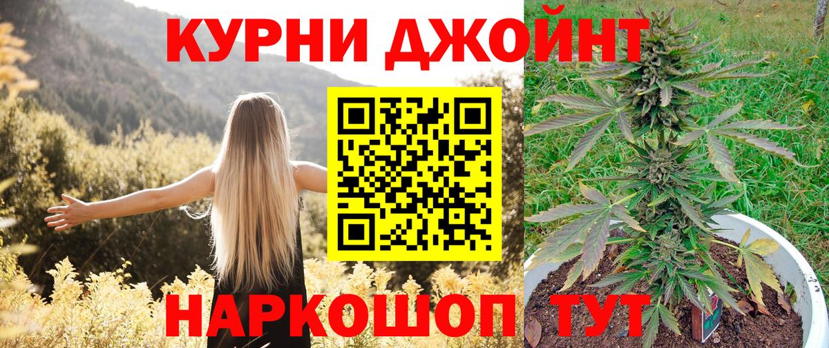 Канабис сатива Йошкар-Ола
